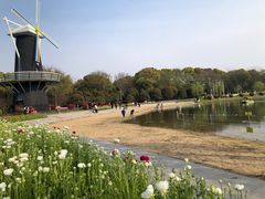 -上海鲜花港