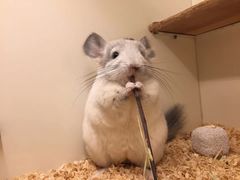 -龙猫仔乐园(惠福东路店)