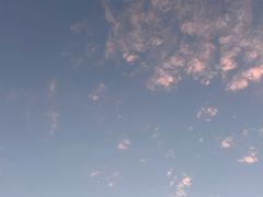 -如意香辣鸡架(总店)