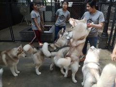 -TrueLove @ Neverland (Husky Cafe)