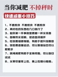 -Fundi张玉珊修身堂·indiba·BTL科技瘦身