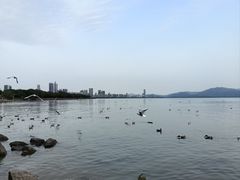 -深圳湾公园(南山区)
