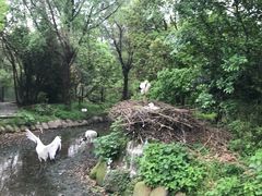 -南昌动物园