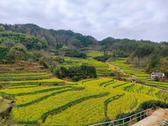 -灵山景区梯田
