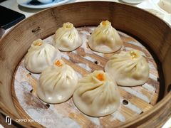 -绿波廊(豫园店)