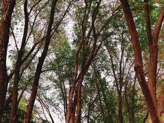 -和平区健康主题公园