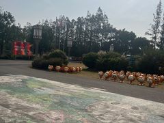 -上海长兴岛郊野公园