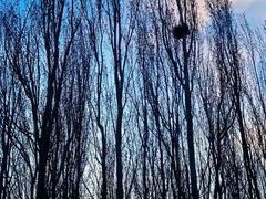 -享口福饺子馆(民旺园店)