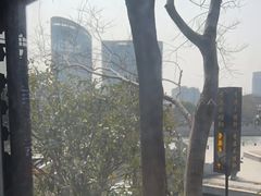 -采蝶轩