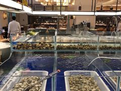 -赛瑞喜来登大酒店-盛宴自助餐厅
