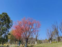 -三岔湖景区