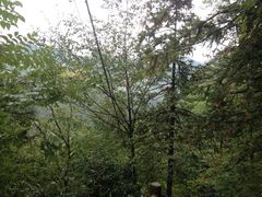 -藏龙百瀑风景区