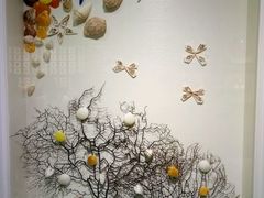 -青岛贝壳博物馆