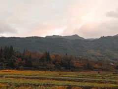 -塔川景区
