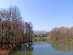 -梁鸿国家湿地公园