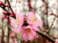 -永定河休闲森林公园