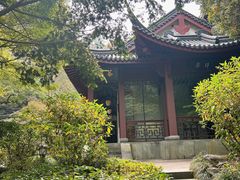 -十八棵（老龙井）御茶园(老龙井店)