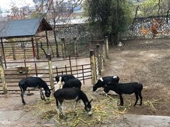 -柳州市动物园