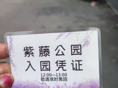 -嘉定紫藤园