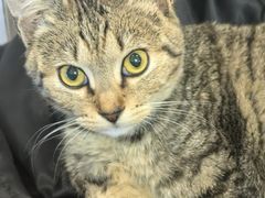 -吉友粥底火锅(方斜路店)