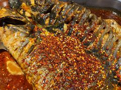 油泼香辣清江鱼-鱼酷活鱼烤鱼(沈阳大悦城店)