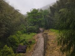 -仙霞关景区