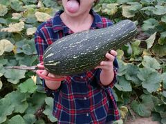-庞各庄翠芳园西瓜蔬菜基地采摘园