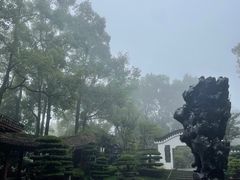 -南山植物园