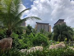 -亚马逊丛林水乐园