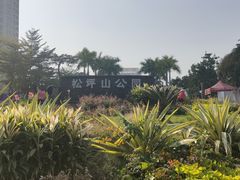 -松坪山公园