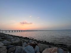 -宝安西湾红树林湿地公园