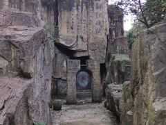 -铁山坪森林公园