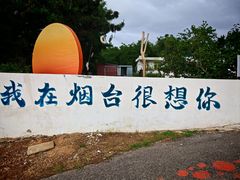 -养马岛旅游度假区
