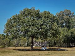 -福建鲤鱼洲酒店