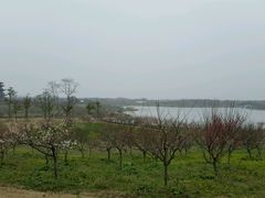 梅林-上海海湾国家森林公园