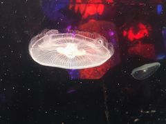 -大明湖海底世界