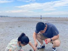 -刘家湾赶海园