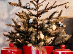 -SUN炸鸡专门店(西塔总店)