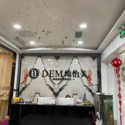 -DEM缔怡美科技美容