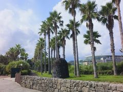 -柱状节理带