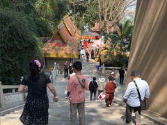-西双版纳勐泐文化旅游区