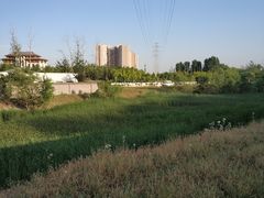 -东坝千亩湖公园