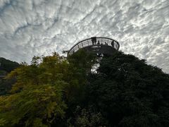 -福道
