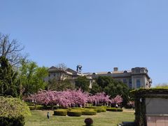 -旅顺博物馆