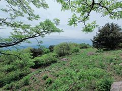 -鹫峰国家森林公园