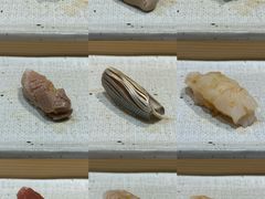 -镹·鱼料理  国产鱼使用店