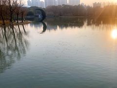 -昆山城市生态森林公园