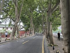 -李公堤