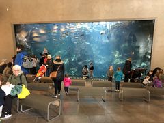 -西雅图水族馆