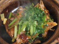 -广宁炭炉鸡煲·富临门饭店